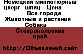 Немецкий миниатюрный(цверг) шпиц › Цена ­ 50 000 - Все города Животные и растения » Собаки   . Ставропольский край